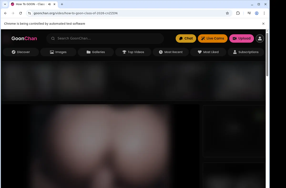 Goonchan Video Downloader browser extension screenshot 2