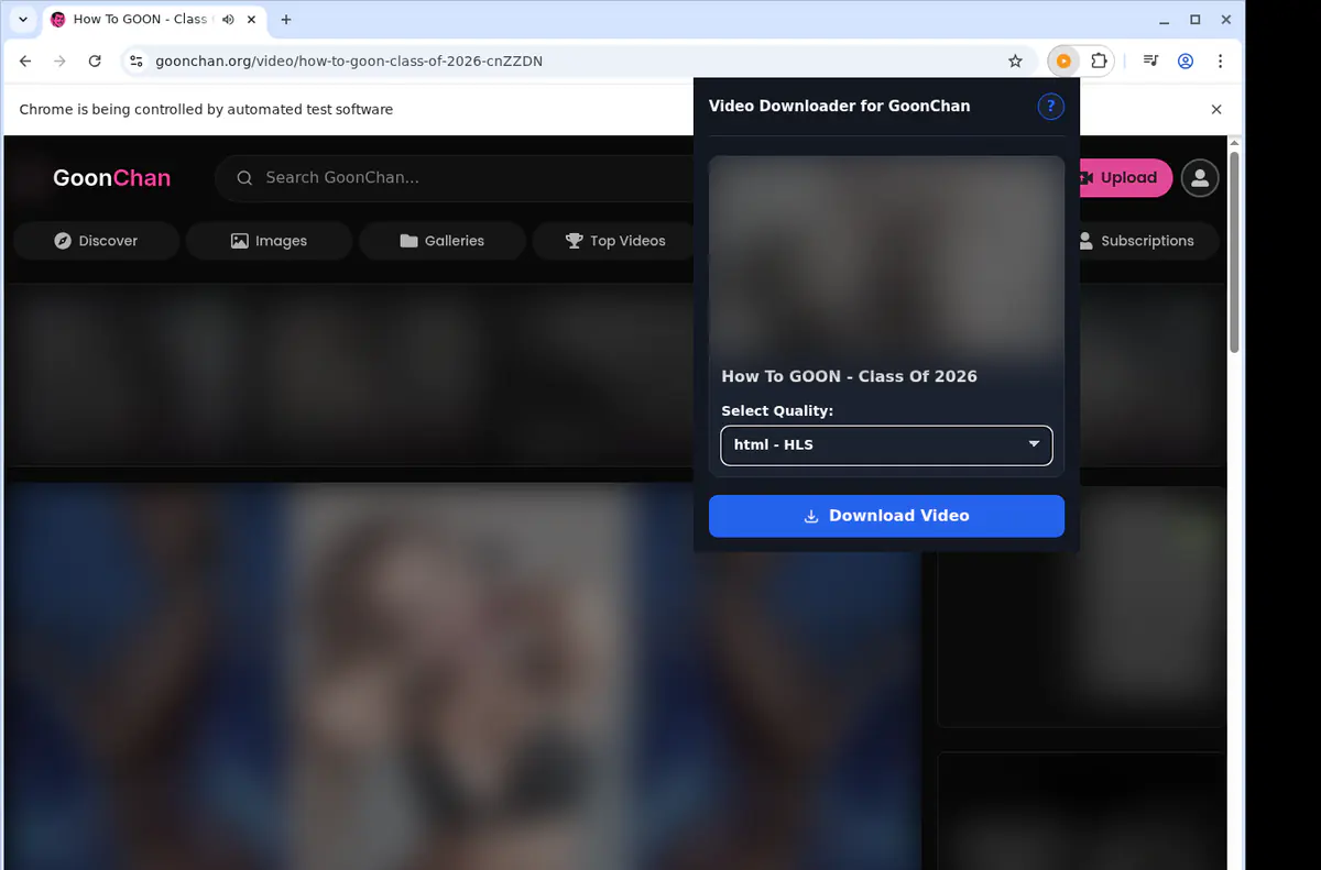 Goonchan Video Downloader browser extension screenshot 3