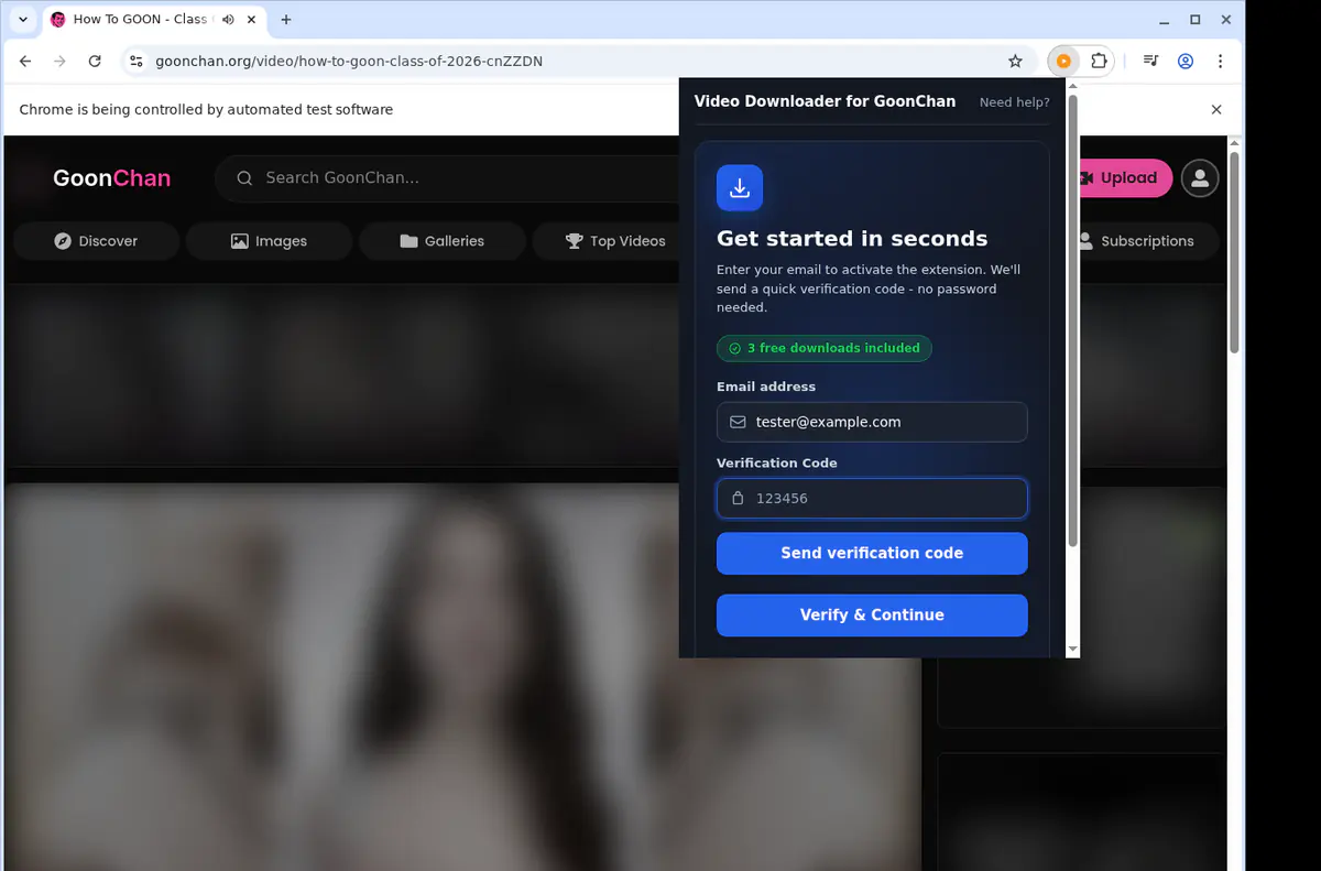 Goonchan Video Downloader browser extension screenshot 4